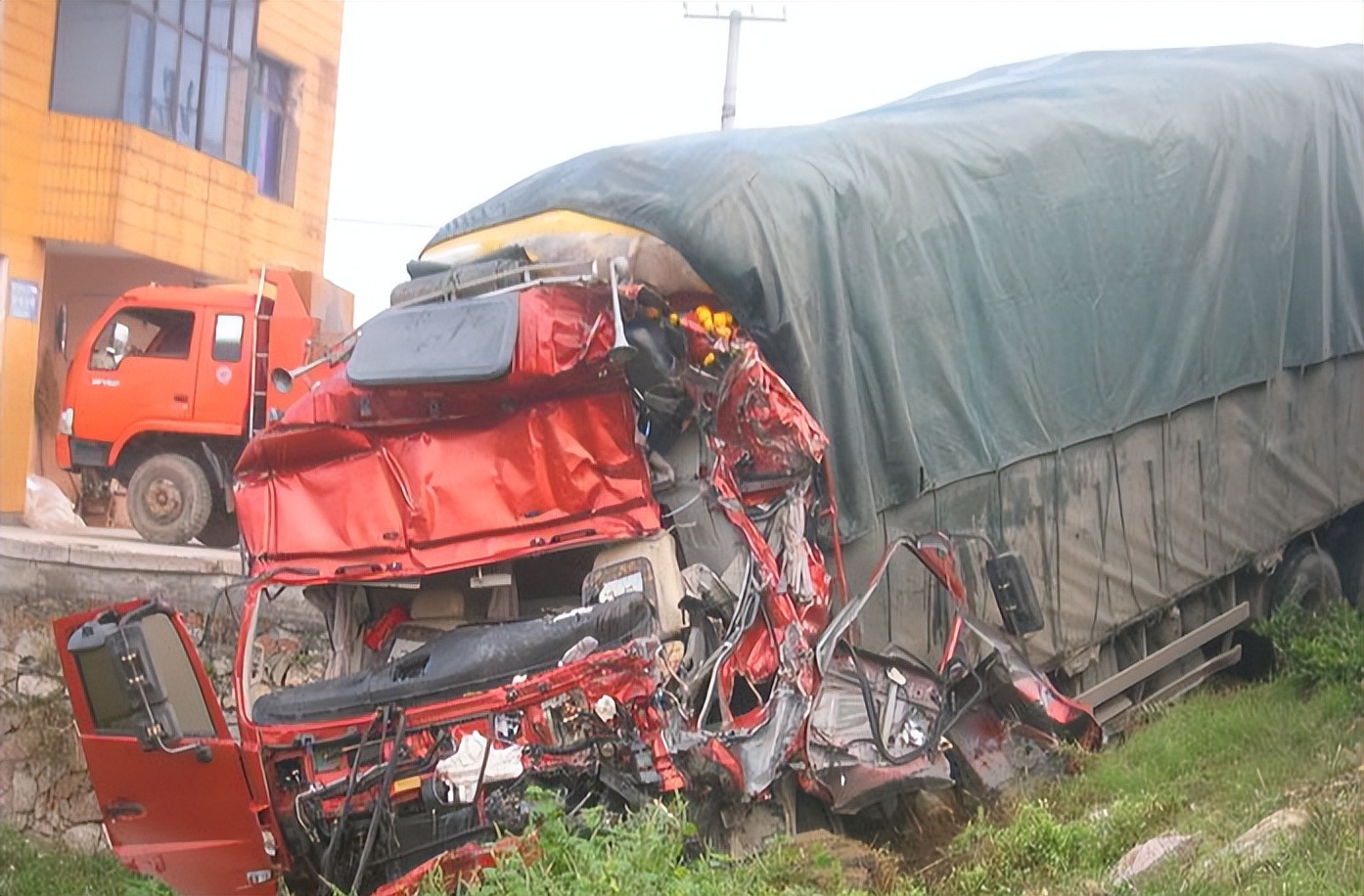 31岁医学博士患癌去世捐出器官,31岁医学博士病逝器官捐献