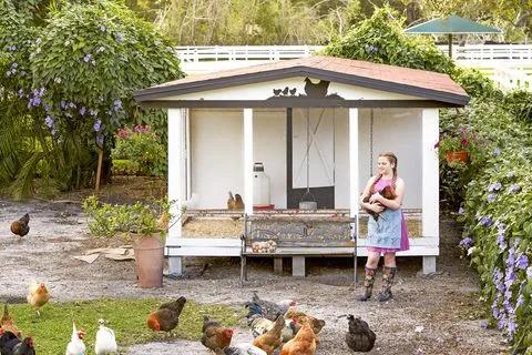 四个孩子、八匹马、八十多只鸡，漫步在一个家里：快乐的蓝狮农场