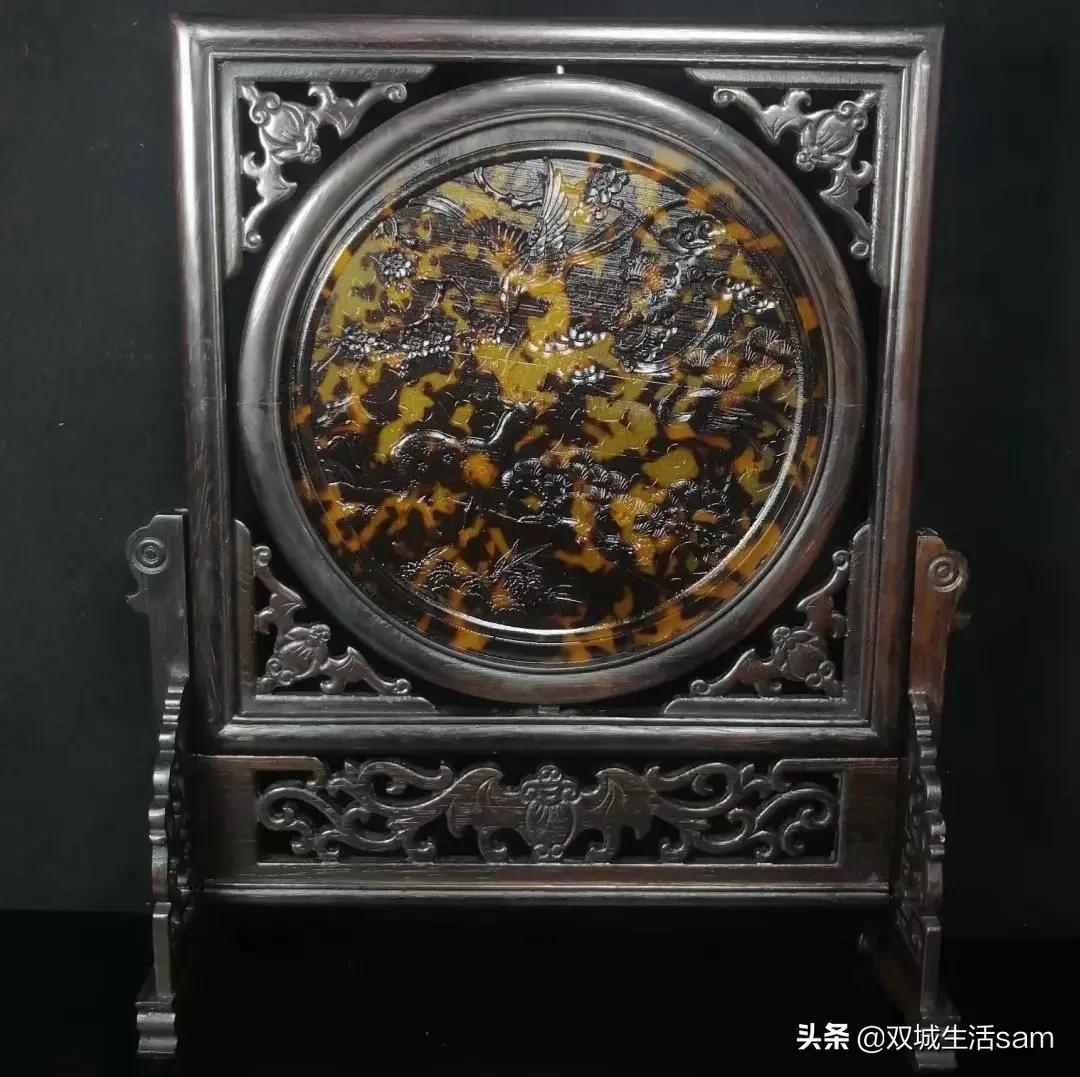 玳瑁为什么又是猫又是龟,玳瑁猫为啥叫玳瑁