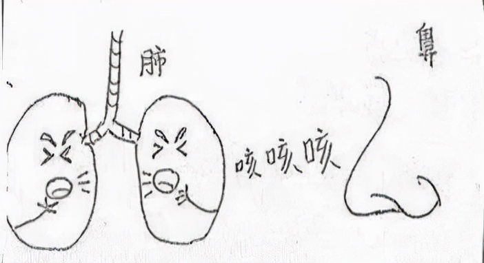 感冒怎么正确擤鼻涕,感冒一直擤鼻涕怎么缓解