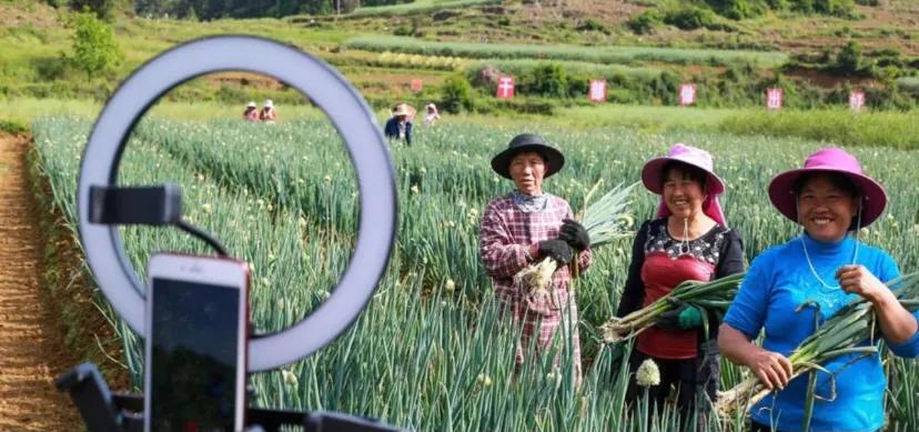 2023生意风口,2024年不可不知的赚钱风口