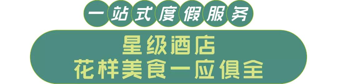 冬日养生泡汤,冬日赏雪泡温泉