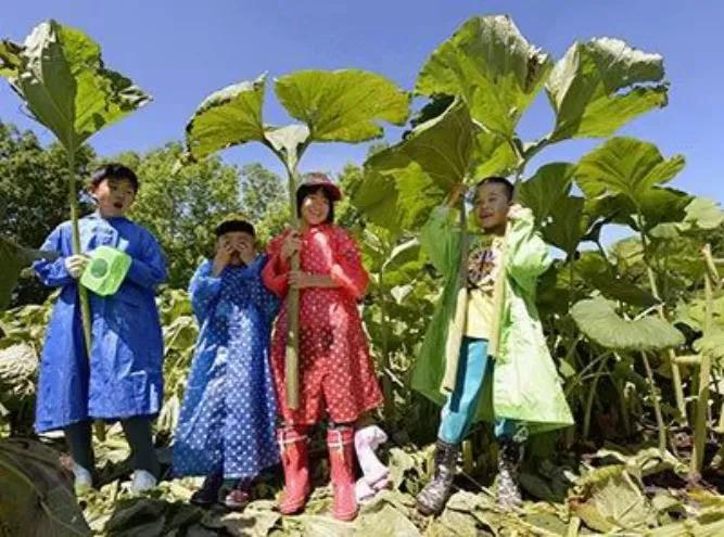 川贝蜜炼枇杷膏好喝吗,蜜炼川贝枇杷膏口感好