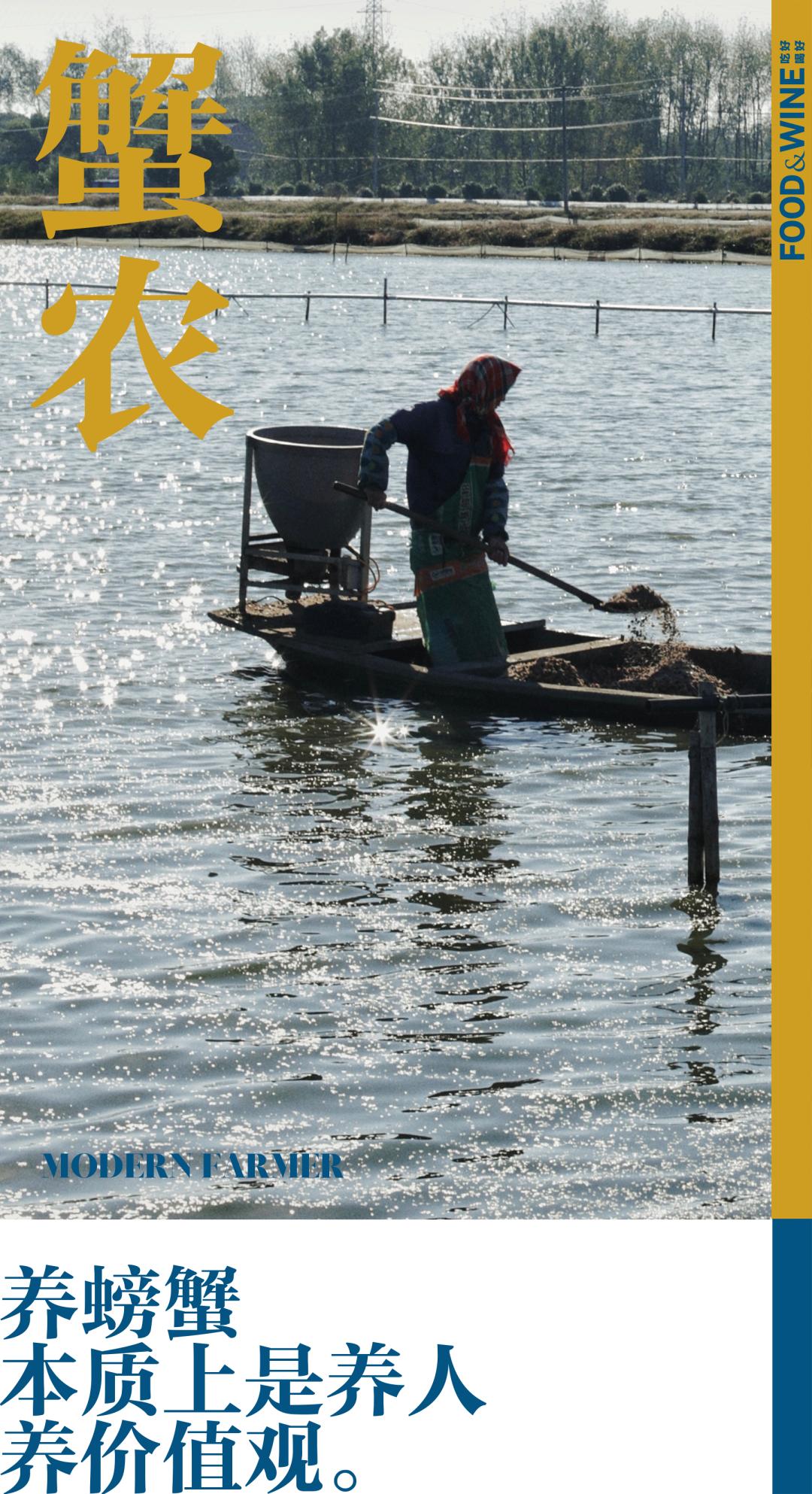 固城湖还是高邮湖螃蟹好,高邮湖螃蟹几月份有