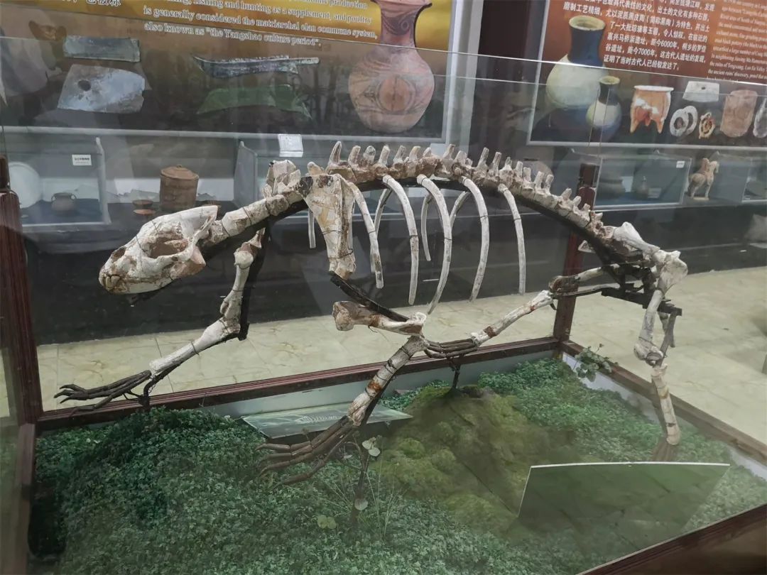 上海地铁通到十大景点,上海地铁沿途有什么旅游景点