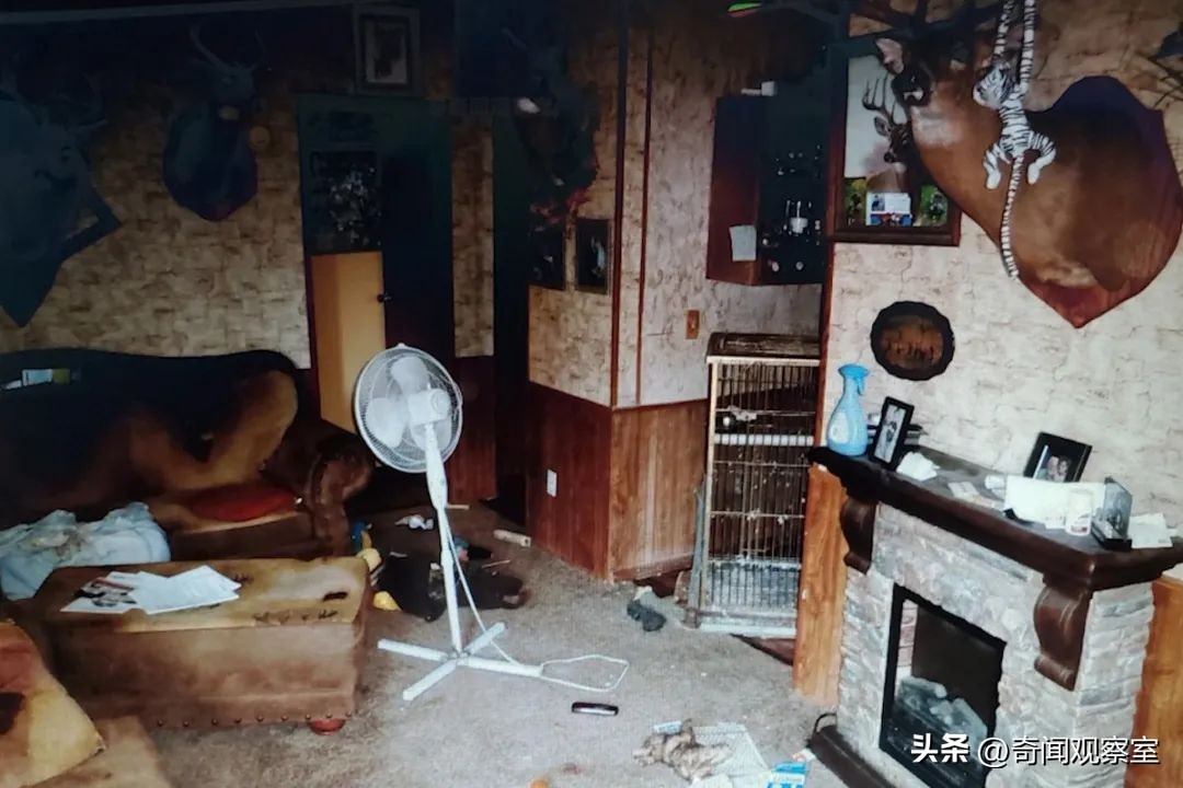 头中两枪不死的奇人,凶手隐藏得天衣无缝却被鹦鹉拆穿