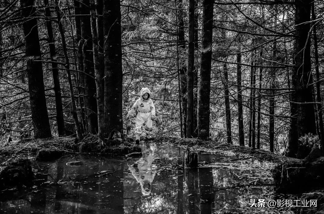 关于罗马的一部电影,罗马电影十大巅峰之作