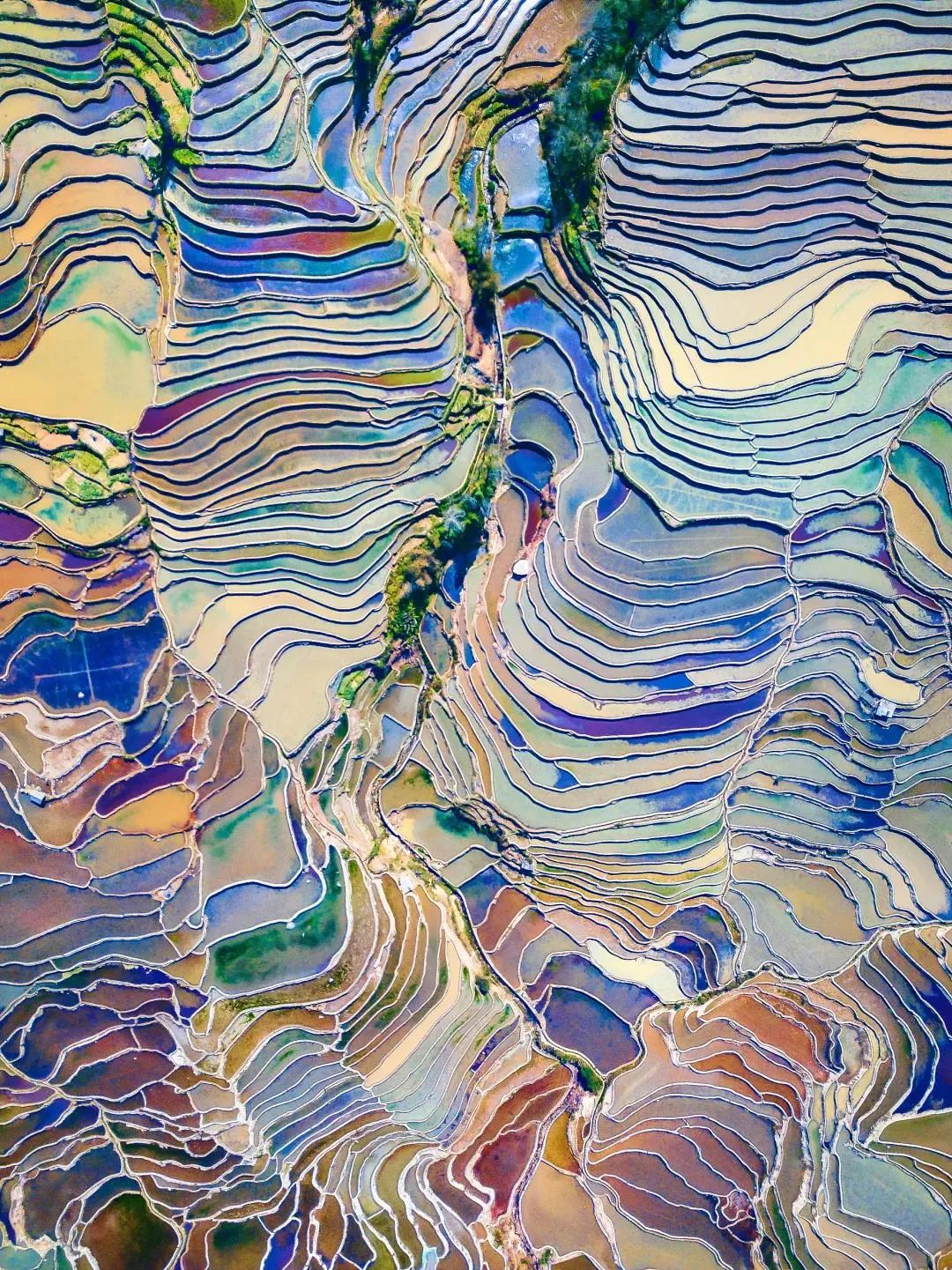 昆明七彩云南怎么样,七彩云南避暑家园