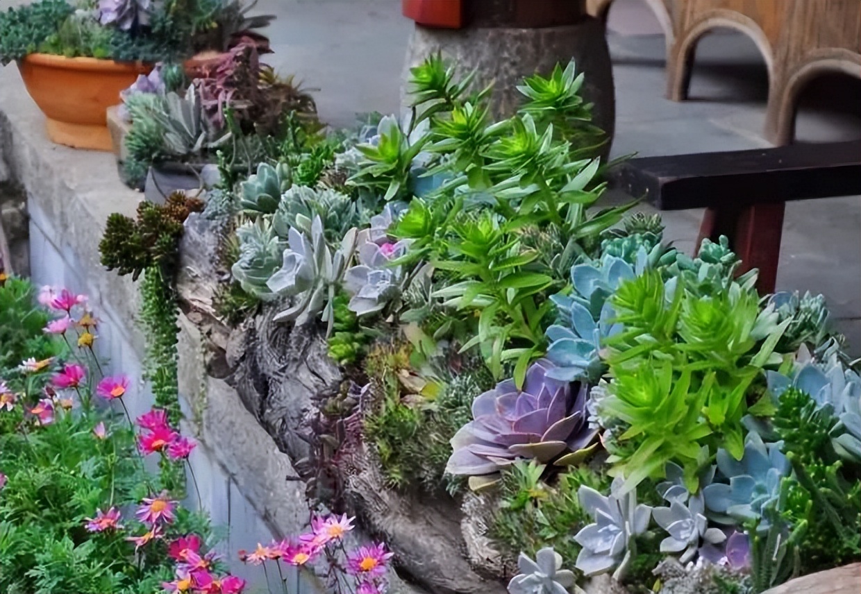 大理打卡的拍照圣地,大理旅游打卡攻略一日游推荐