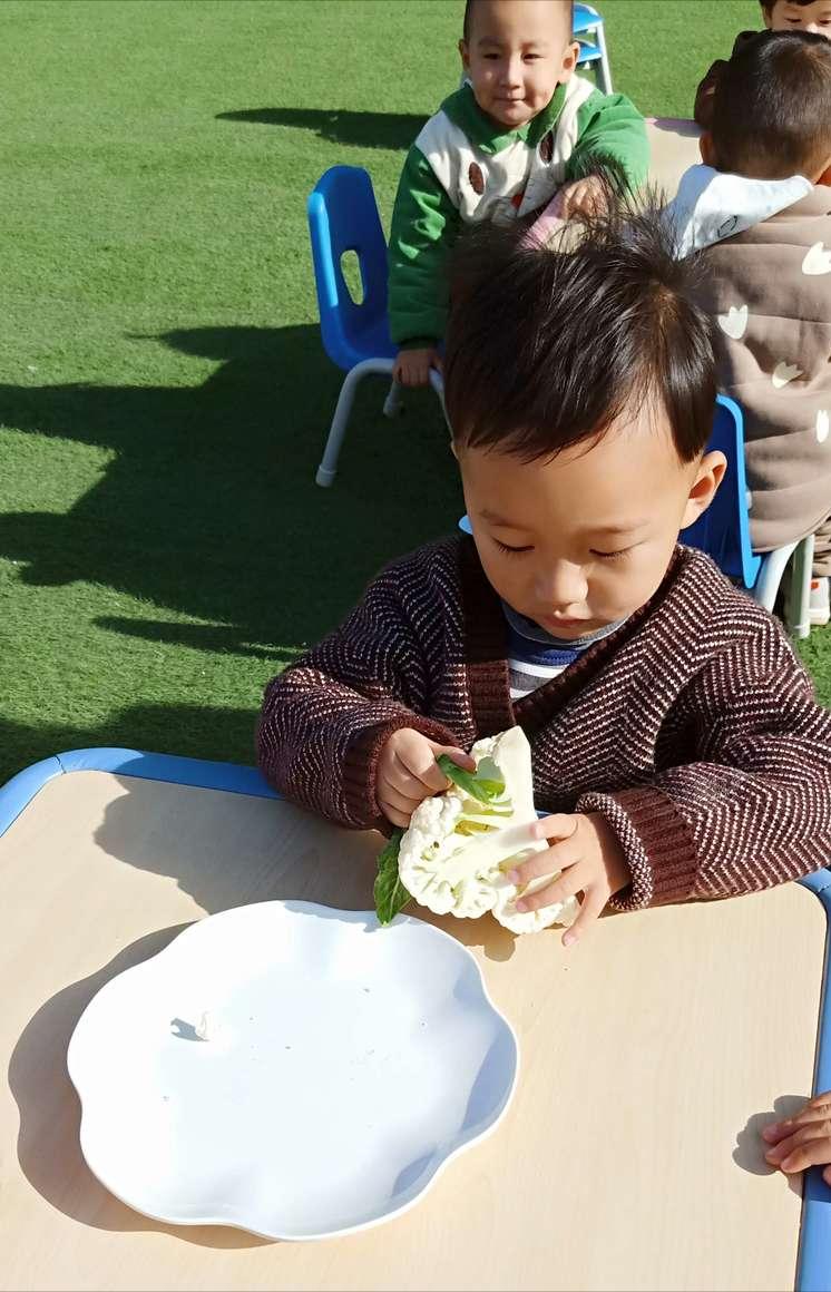 两岁小孩应该如何引导培养,2岁孩子养育技巧