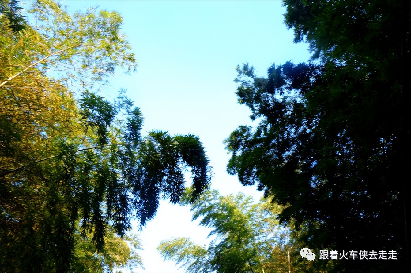 宜兴小镇的深氧之旅——张渚镇龙池山自行车公园