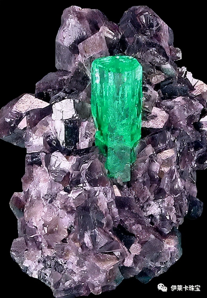 伊莱卡珠宝怎么样,伊莱卡珠宝和田玉价格