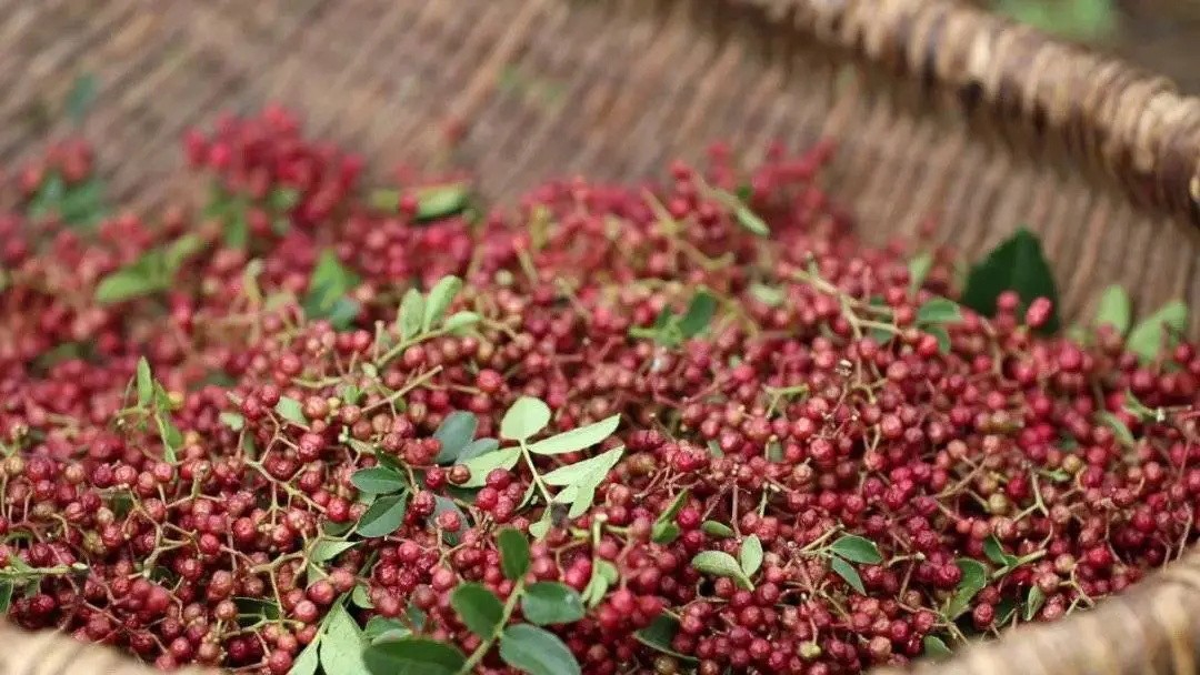 全国哪的花椒最正宗？经过对比，这4个地方名气最大，有你家乡吗