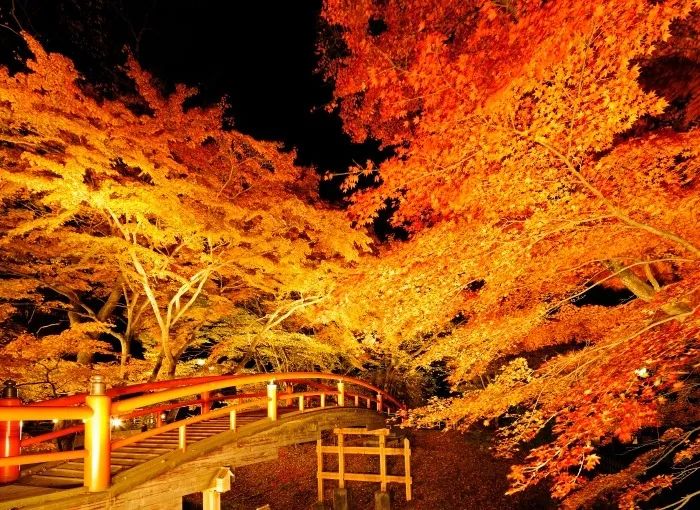 日本旅行跟团游东京北海道,日本旅行中文团