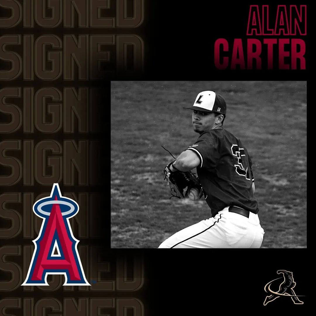 各国归化球员有哪些,哪些厉害的归化球员