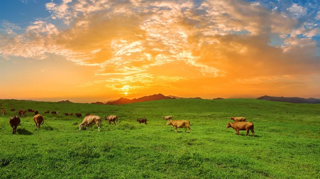 国家AA级景区,腾冲a级旅游景区