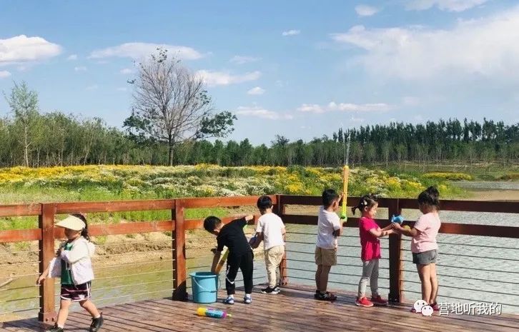 捞小河里的小蝌蚪,上海抓小蝌蚪的公园