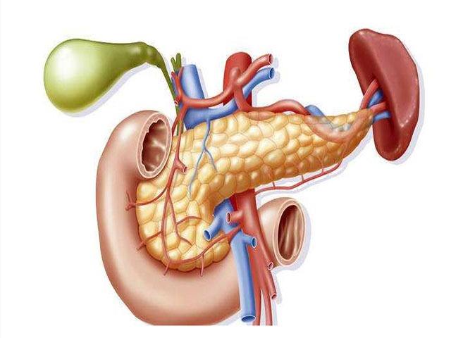 胰腺癌前兆是慢性胰腺炎吗,胰腺炎有哪些自我救治措施