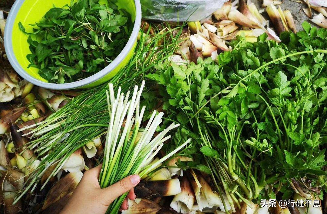 竹解心虚即我师：十二首著名的诗词，展现大诗人们的翠竹情怀