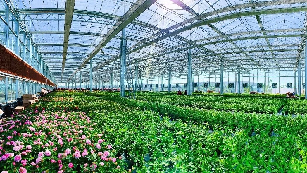 沂蒙乡村振兴学习感悟,乡村振兴看沂蒙专题