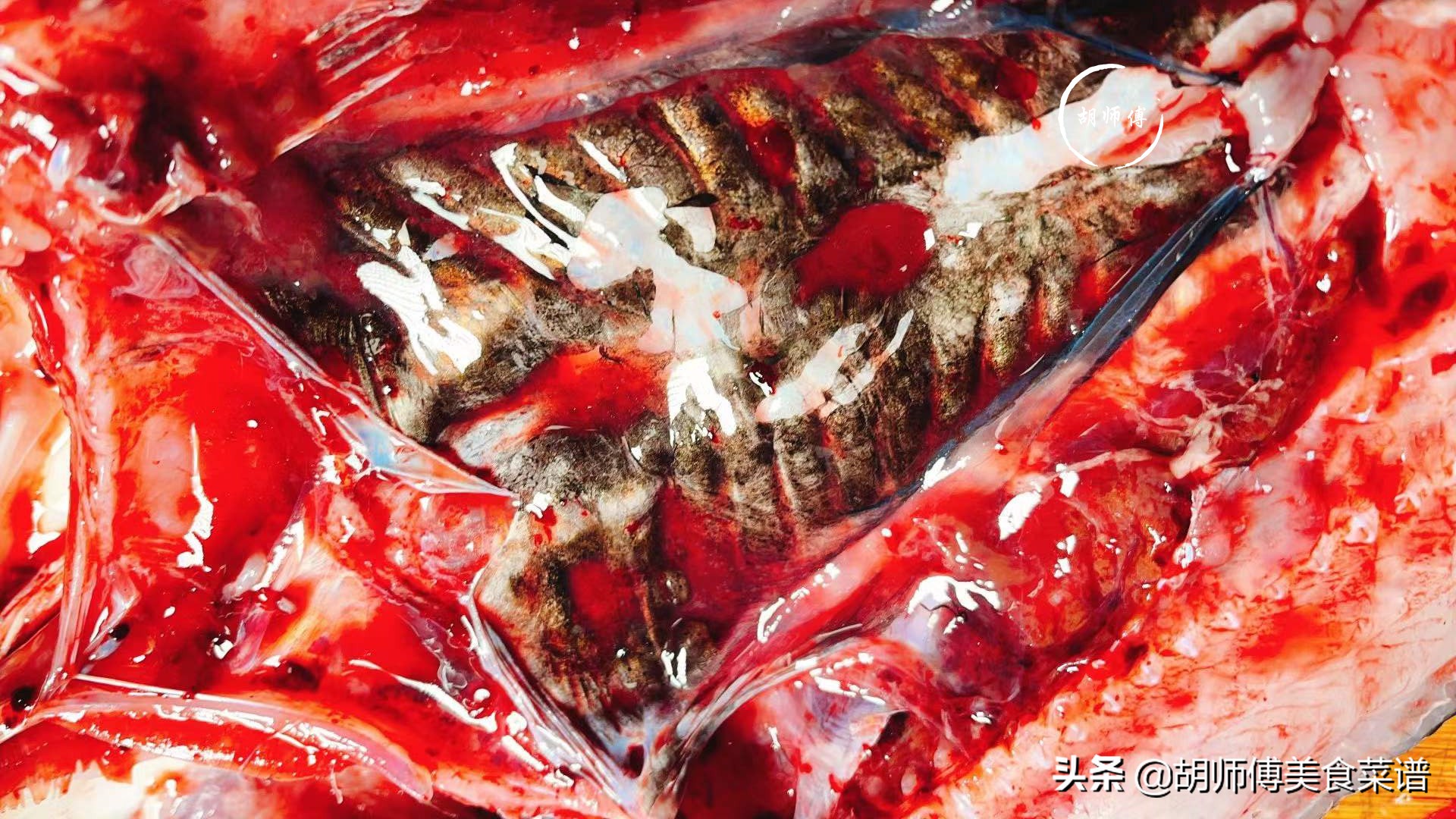 黑鱼去鱼线腥方法图解,鲈鱼去鱼线腥方法图解