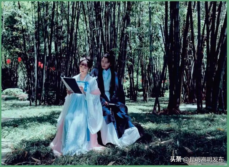 花博会云南,花博会来了