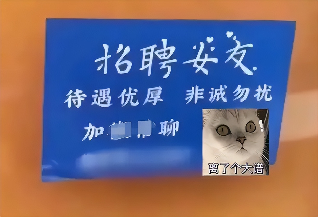 “职业女友”在大学中盛行，每月5000元不做出格事，不少女生应征