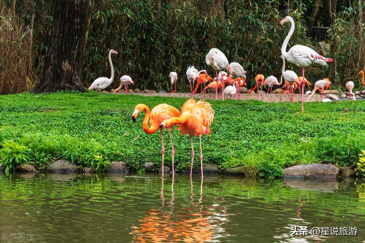 上海适合老年人去的景区,上海四星级旅游景点排名榜