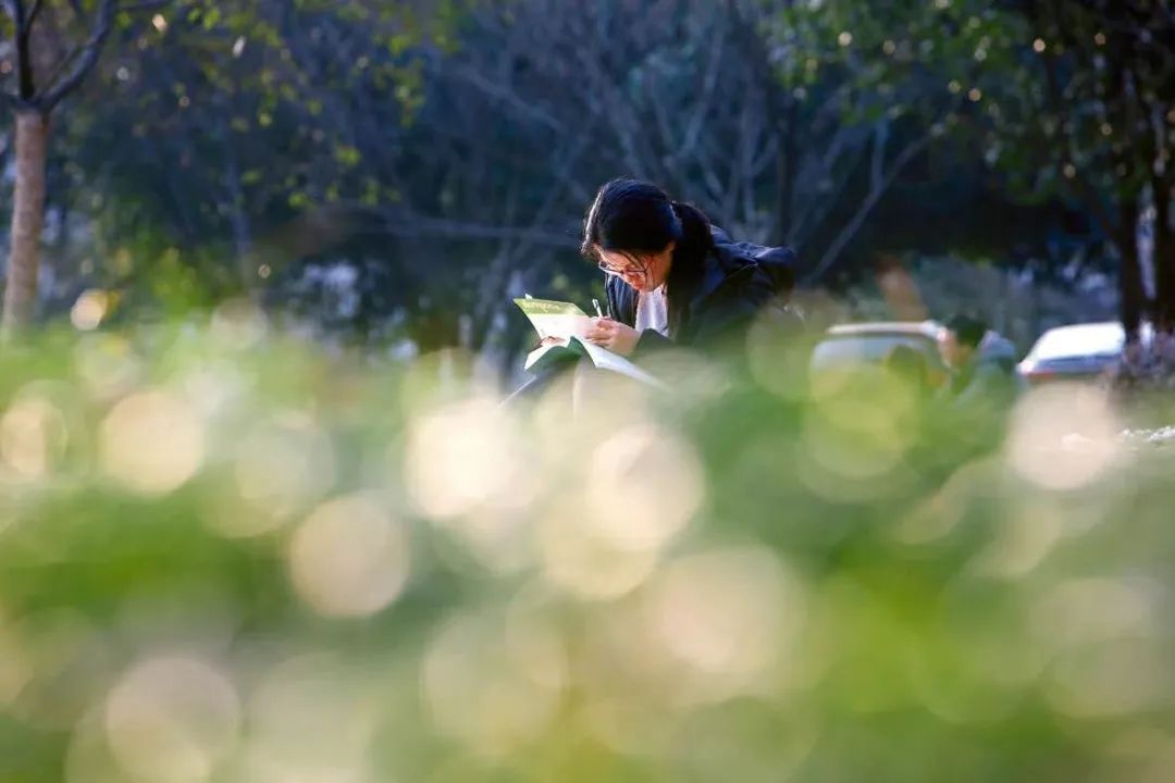浙江大学中国最美校园,浙江大学玉泉校区校园