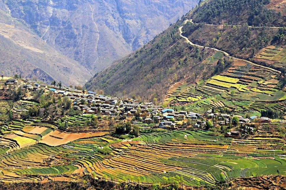 150元一斤深山养蜂蜜,100岁夫妻深山隐居养蜂吃蜜