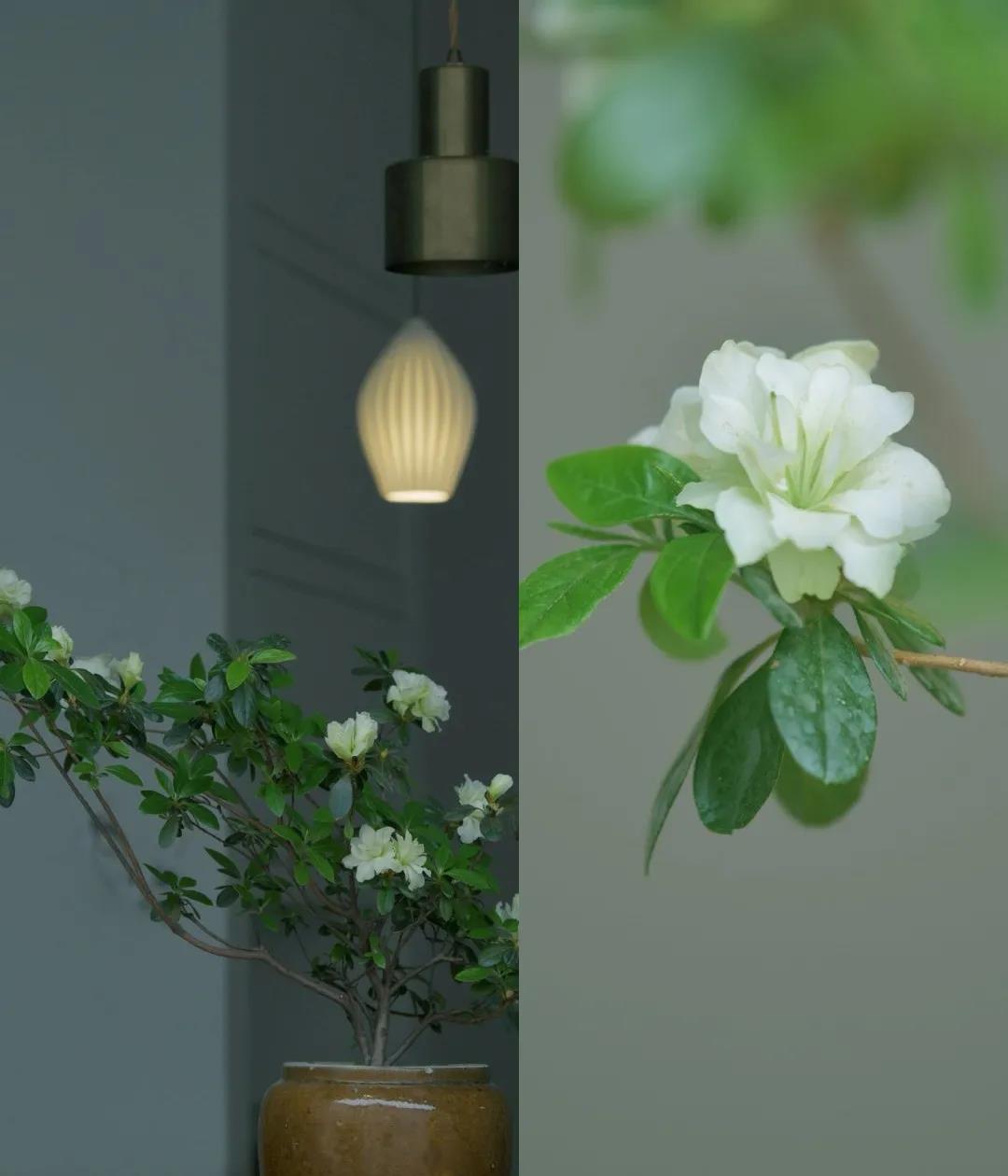 愿所有美好都能如约而至完整版,在十二月所有的美好如约而至