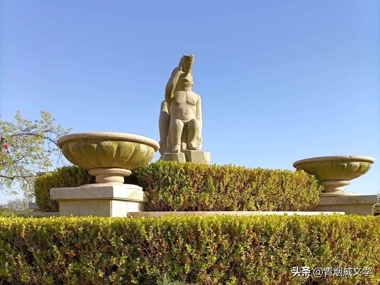 七律咏菊花古诗,咏花七律诗词