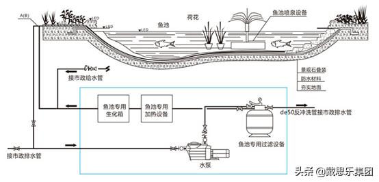 锦鲤鱼缸养鱼过滤系统,锦鲤鱼池过滤效果图