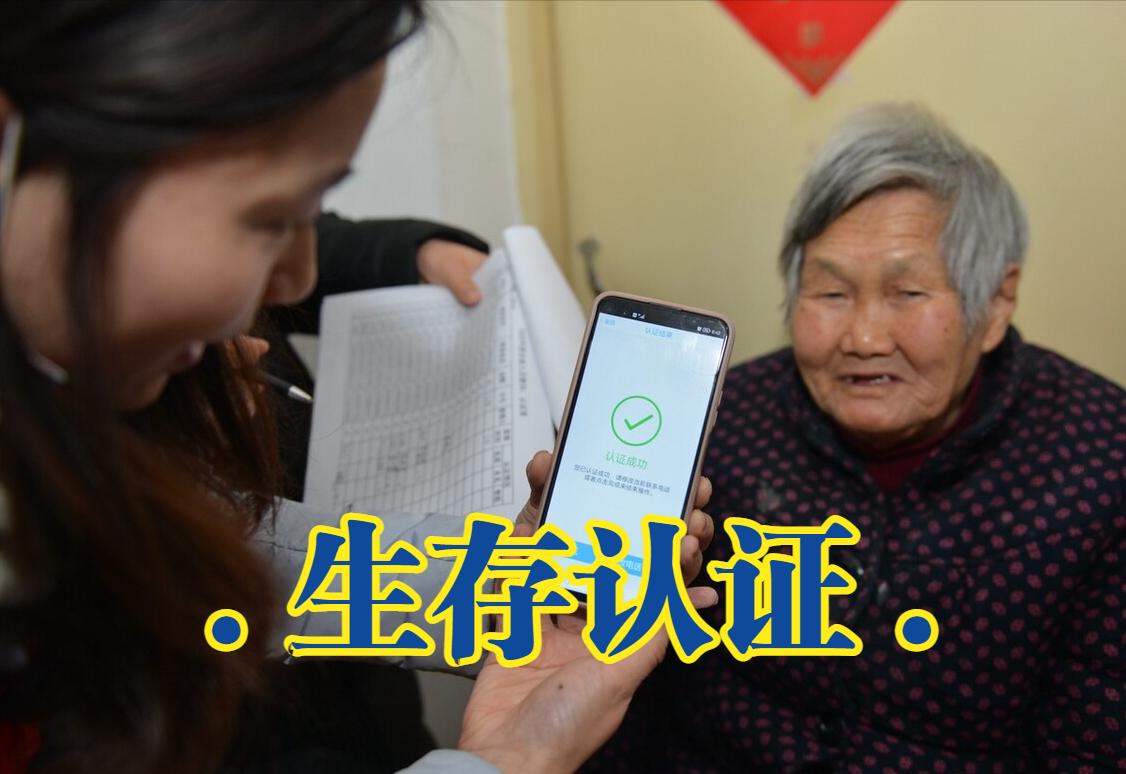 生存认证怎么在手机上认证,老年人生存认证网上如何认证