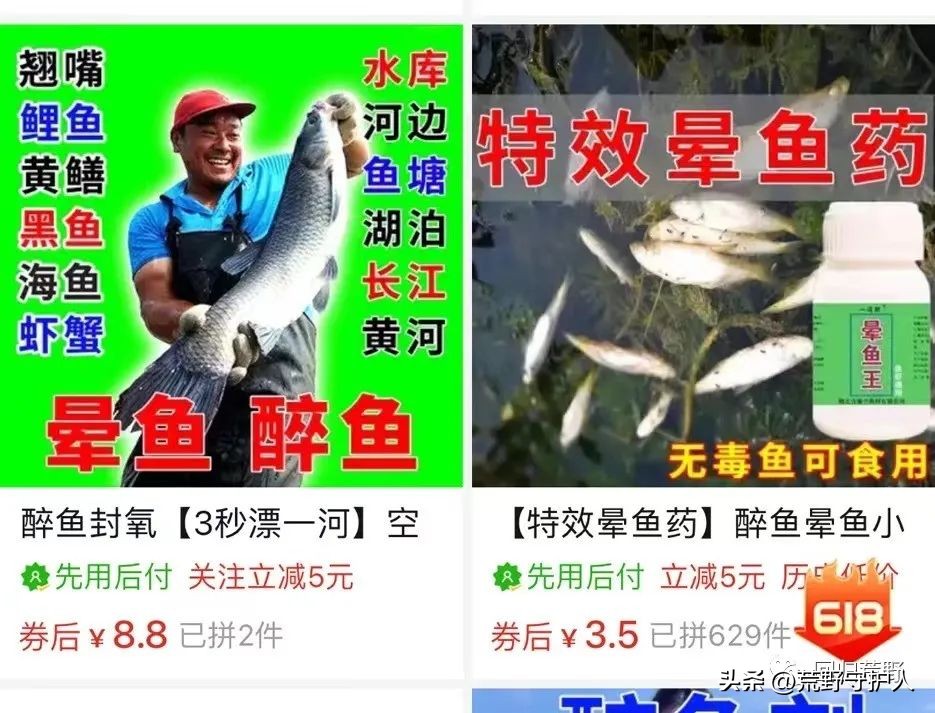 网上卖的毒鱼药,网上毒鱼药是真的吗