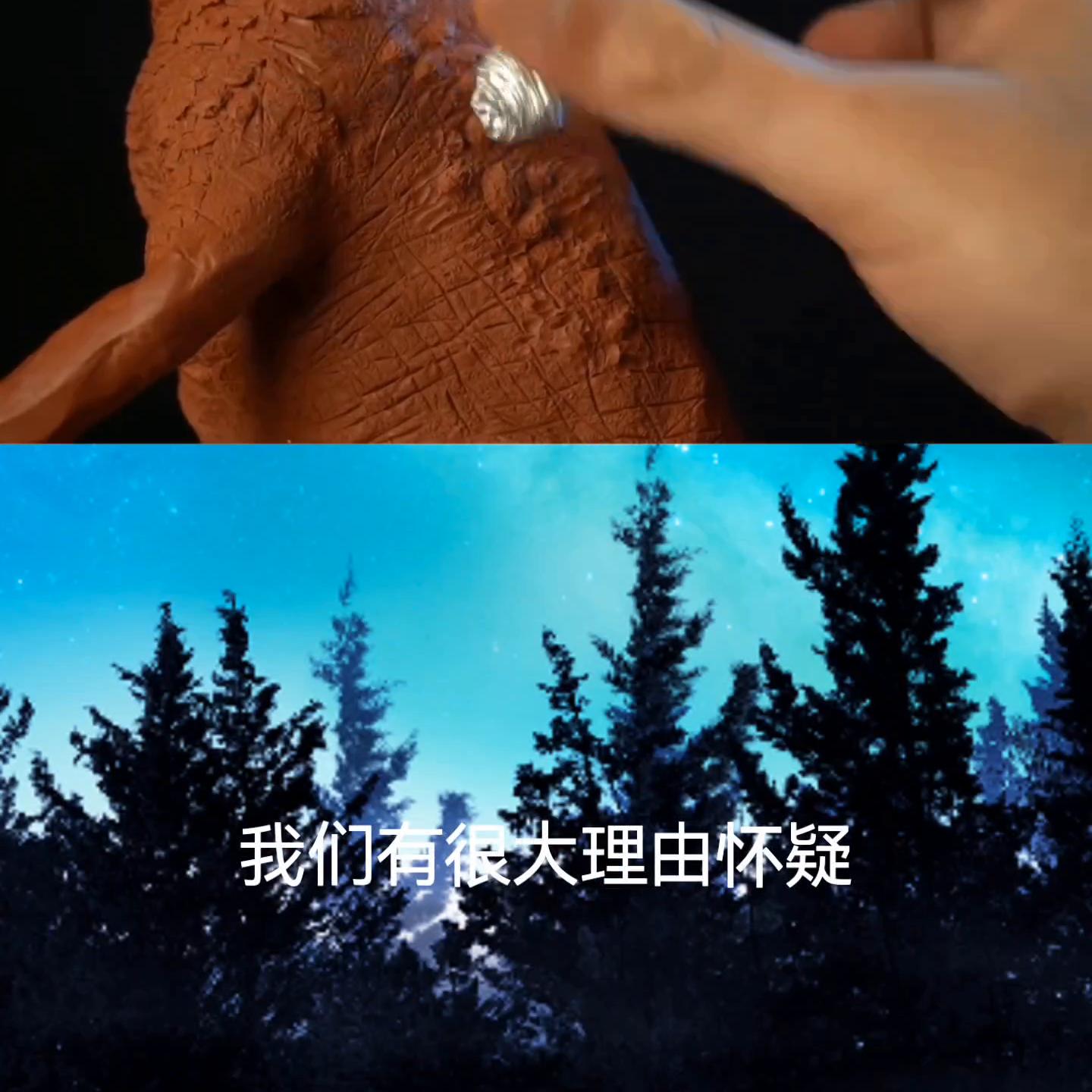 已完结的动漫,已完结小说完整版