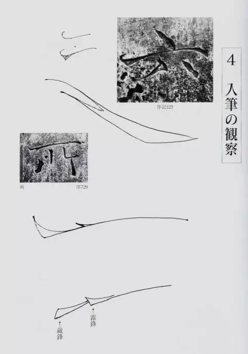 宸ョ瑪鐢绘潹鏅箟鐢诲唽,鏉滈箖鏉ㄦ櫘涔夊畬鏁寸増