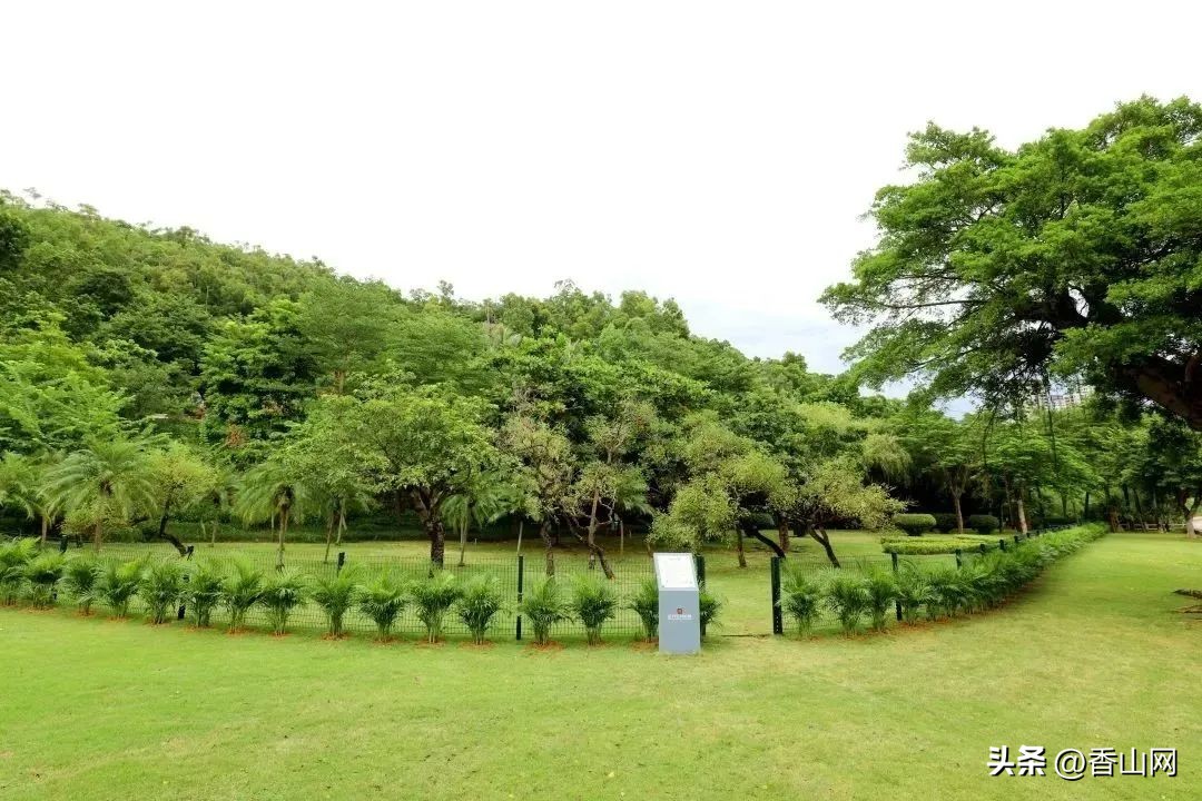 珠海唐家遛狗好去处,周末遛狗好去处乌鲁木齐