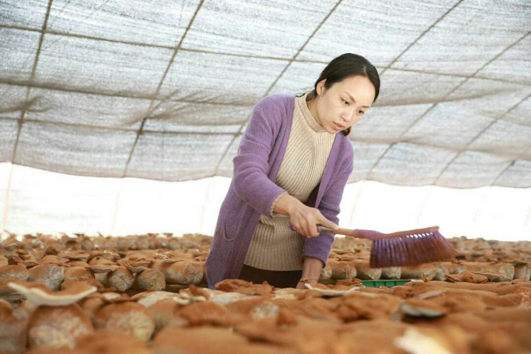 推进创新创业助力乡村振兴,聚力创业创新助力乡村振兴