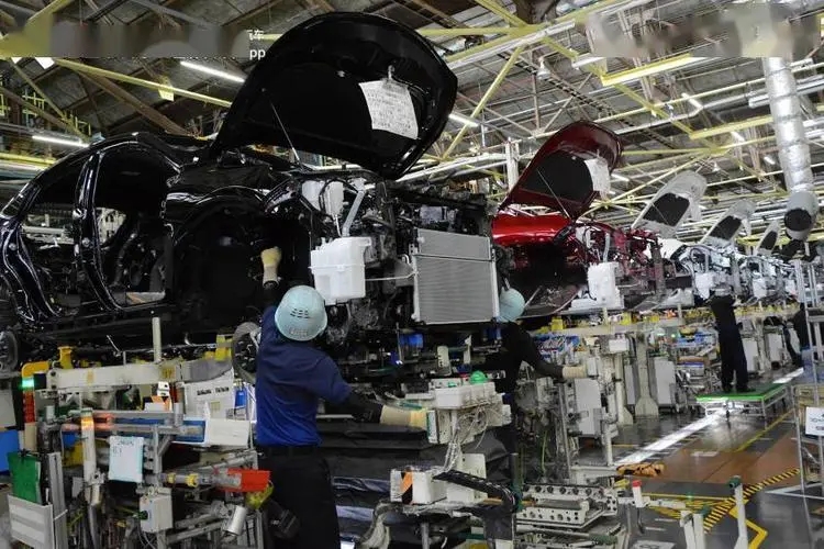 上海小伙负债42万到日本求学,被骗到农村成了黑户,打工15年养家人