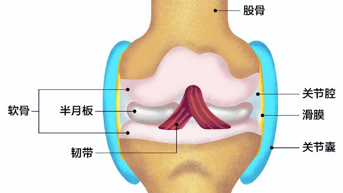 老年人膝盖疼响的最好治疗方法,老人膝盖软该注意些什么