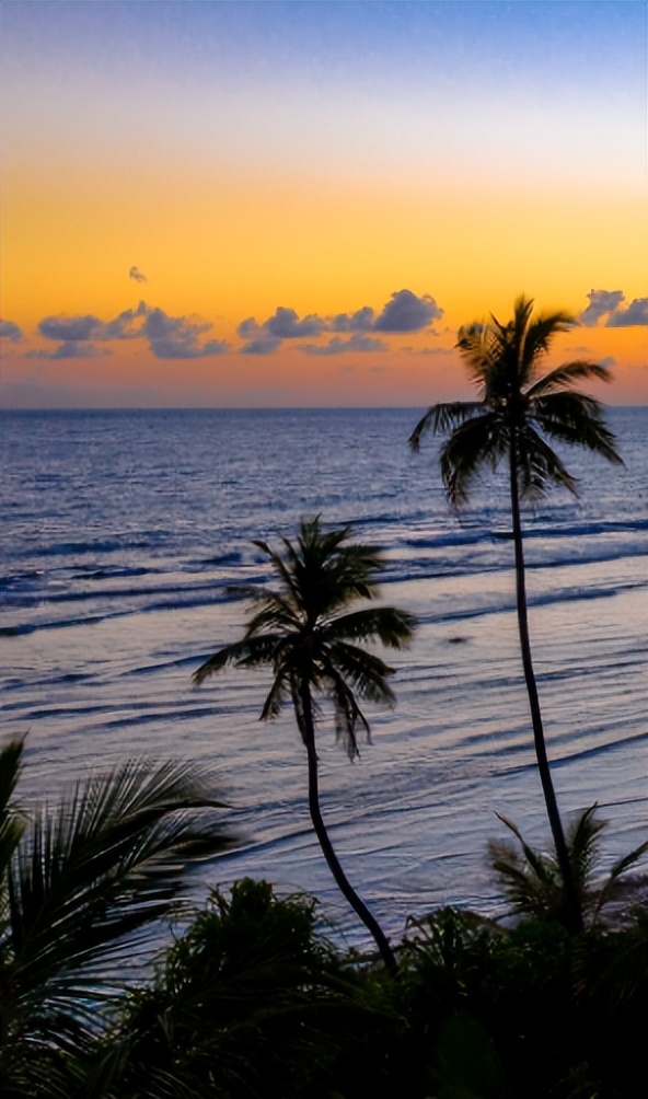 现代时尚生态木门风格,现代自然门