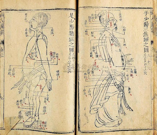 法国的国宝级老中医,中医药治老狗