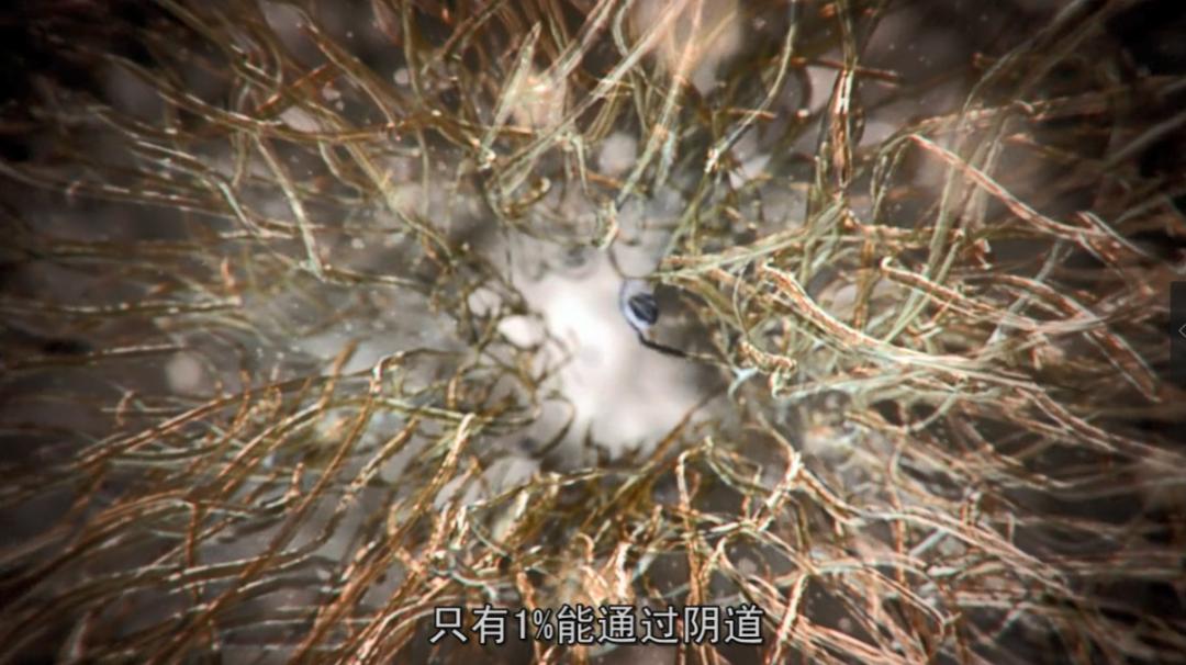 死去的生物突然开始攻击我,人类死亡后细胞拼命自救