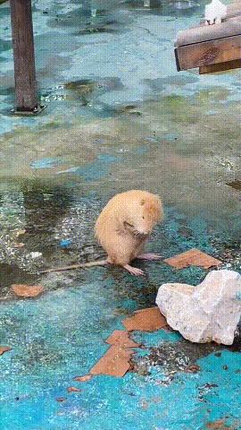 兄弟抢红包是挺快的，就是有点费手机，这屏幕得经常换吧，哈哈哈