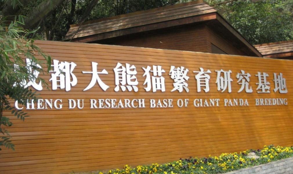 成都旅游必去十大景点推荐黄龙溪,成都旅游必去十大景点推荐武侯祠