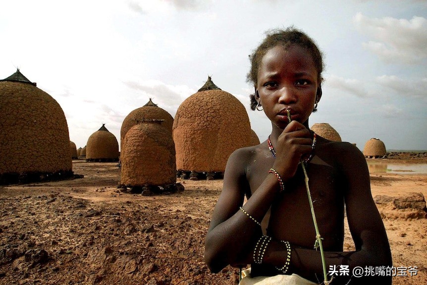 人口与北京相当，面积与*藏西**接近的尼日尔，有什么饥荒水果