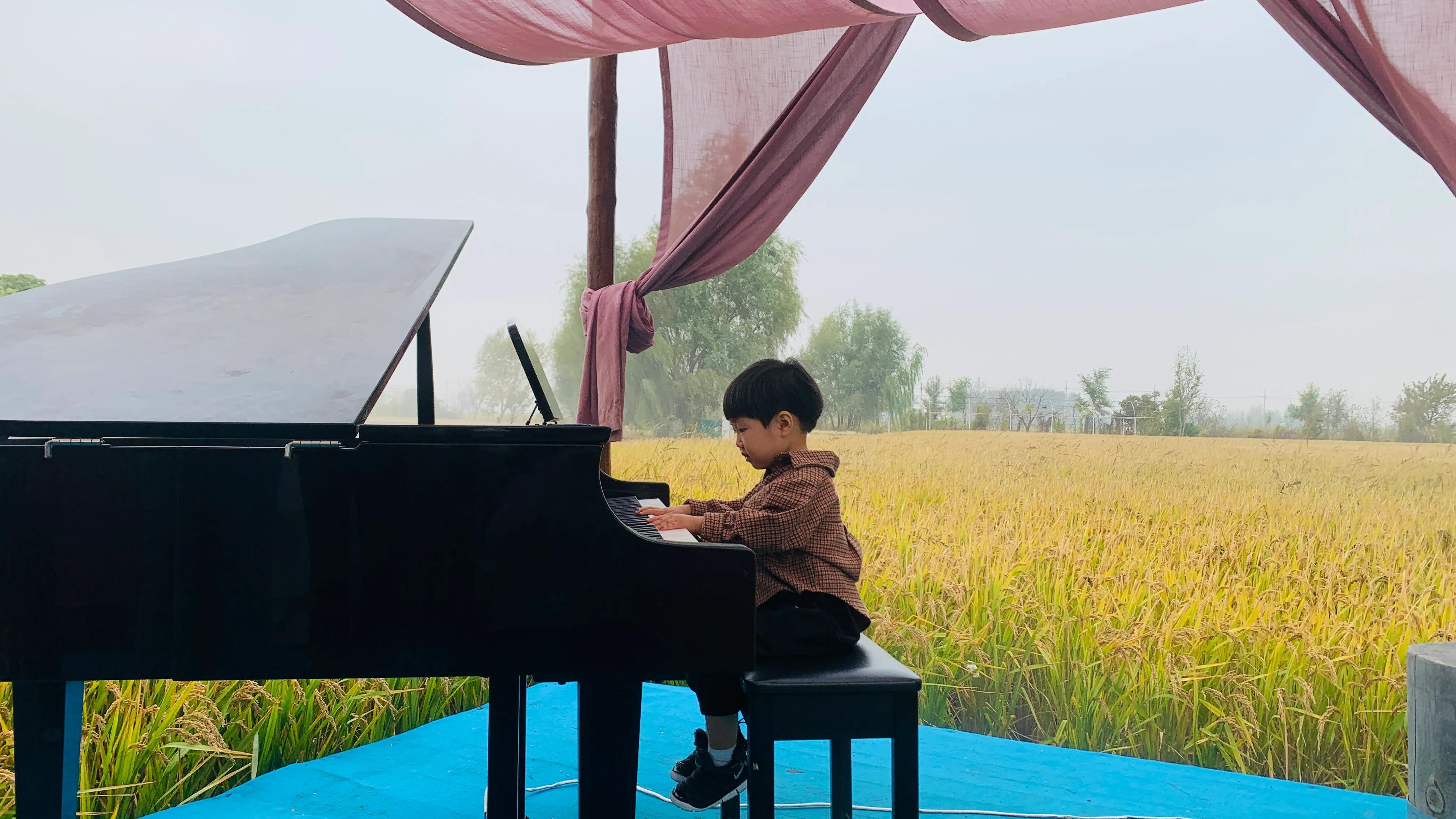 沈阳旅游景点稻梦空间,沈阳稻梦空间一日游攻略