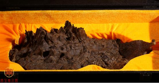 一起来了解沉香的文化与精神,沉香如何区分品质和精神