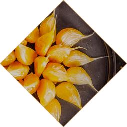 第10期舌尖上的非遗东来顺羊肉,中华老字号东来顺羊肉